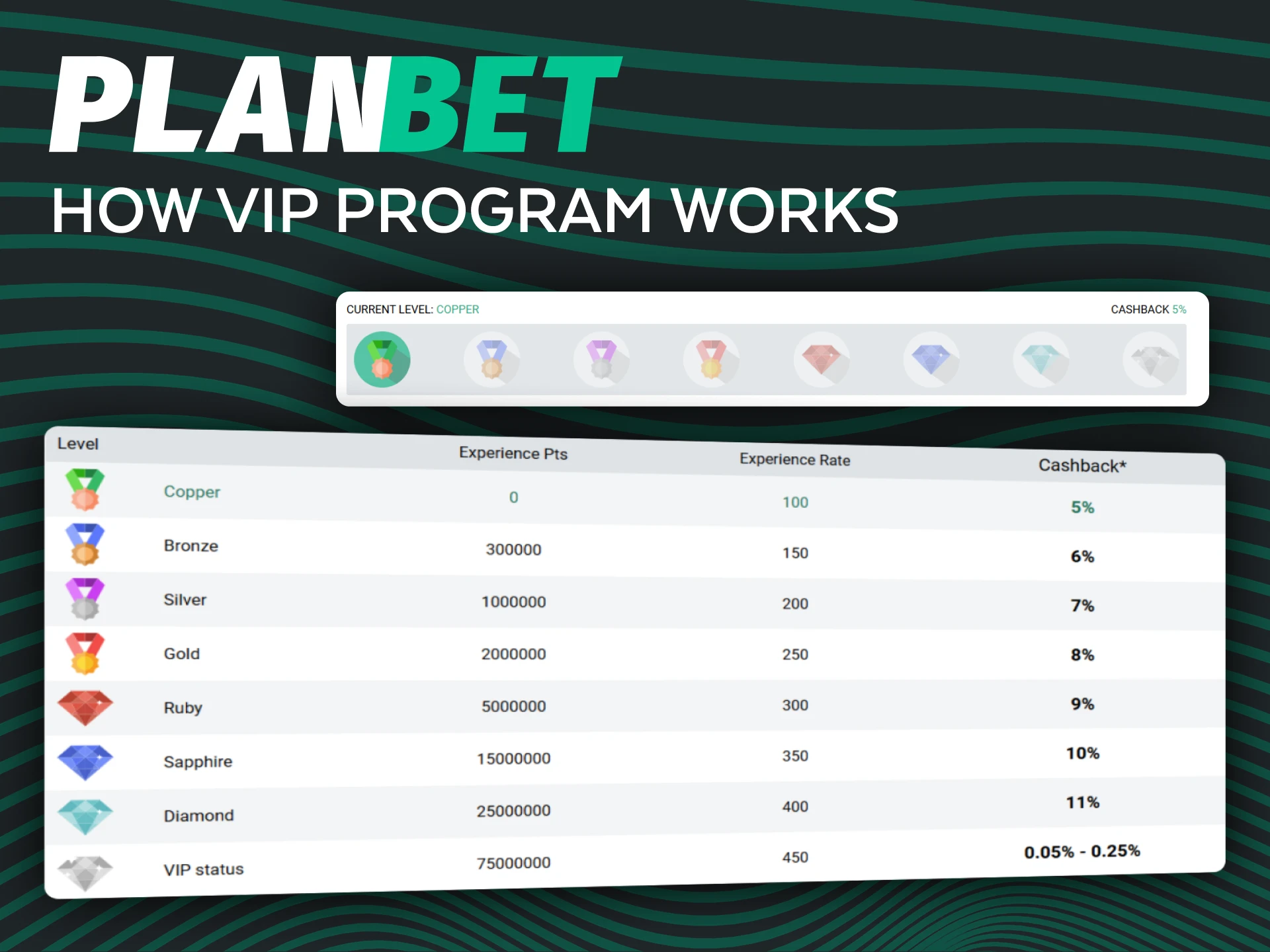 Learn how the official Planbet VIP program rewards active players with cashback and perks.
