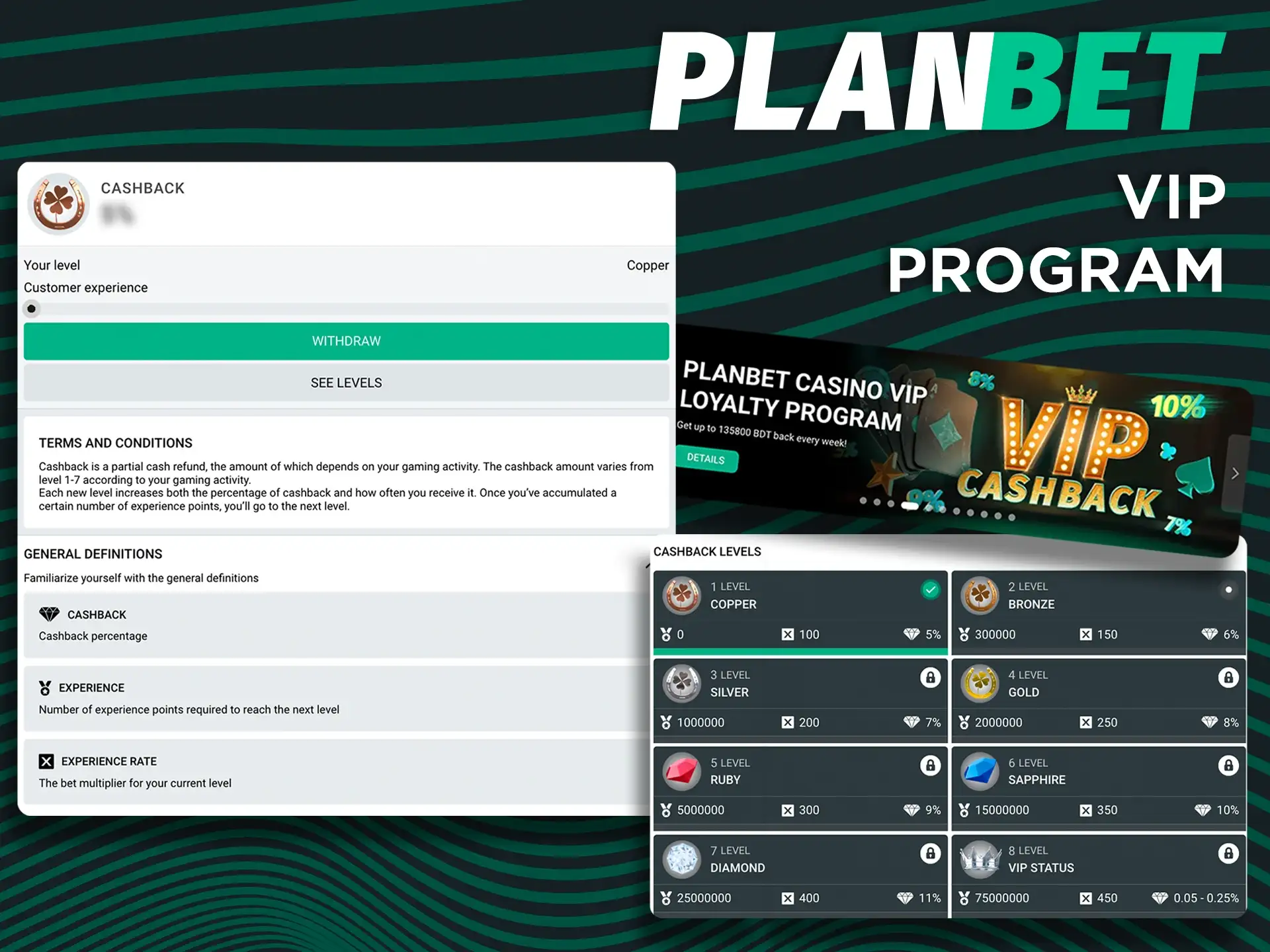 Get more benefits with the VIP program at Planbet.